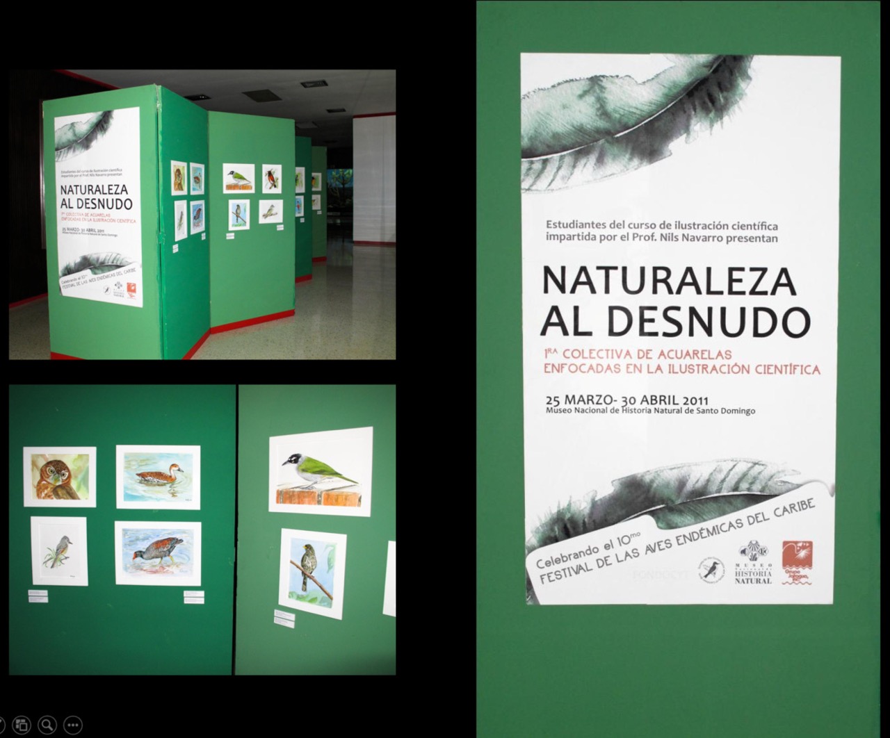 Talleres de Ilustración