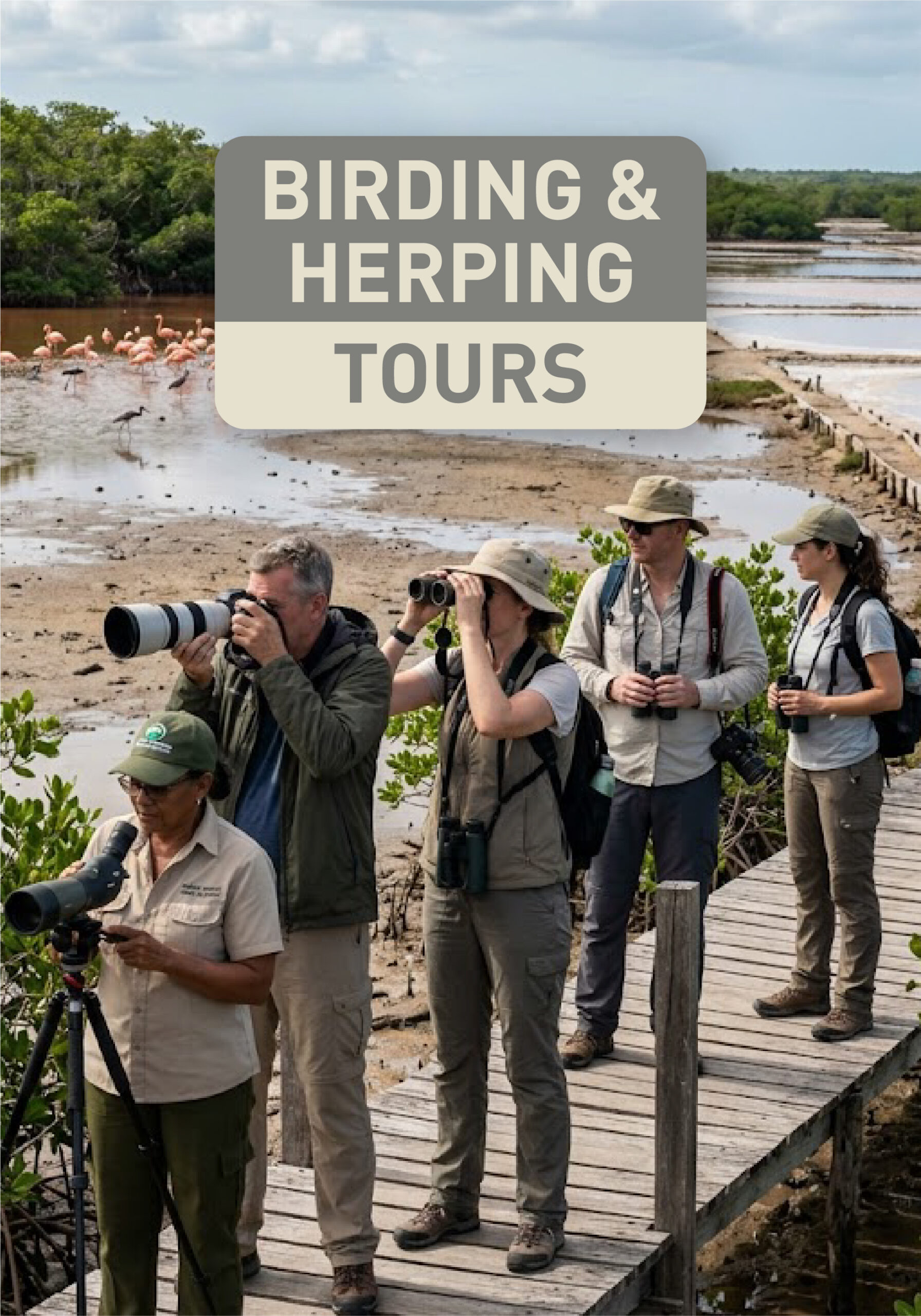 Birding Tours