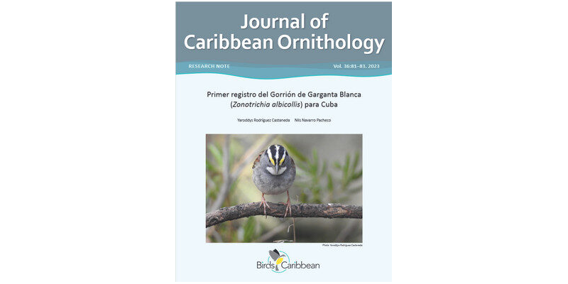 Primer registro del Gorrión de Garganta Blanca (Zonotrichia albicollis) para Cuba.