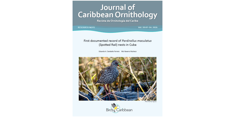 First documented record of Pardirallus maculatus(Spotted Rail) nests in Cuba